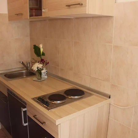 Ana Apartment *
